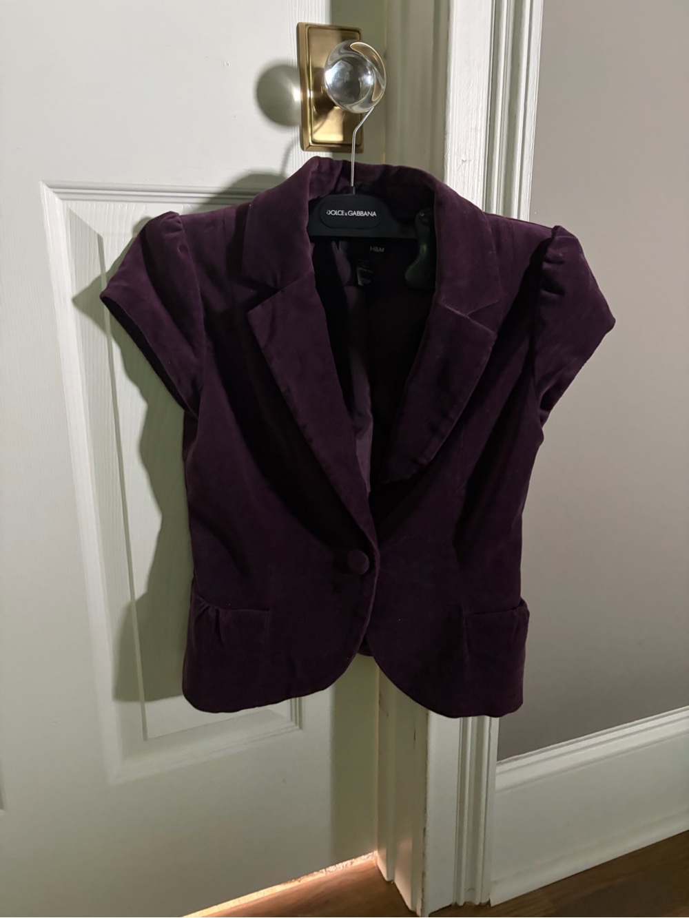 H& M Women's Short Sleeve Velvet Blazer - Deep Purple